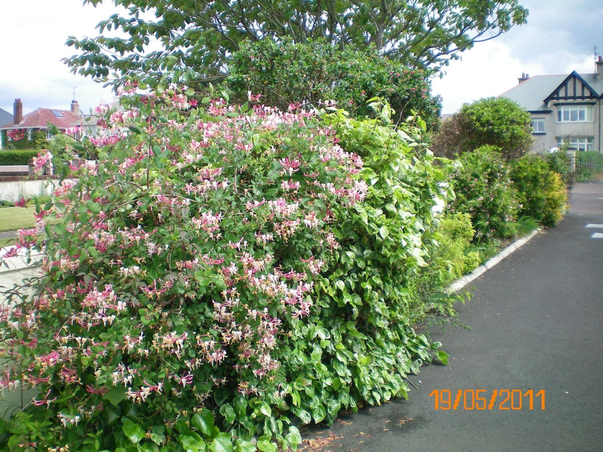 Aaranmore Lodge Guest House Portrush Bagian luar foto